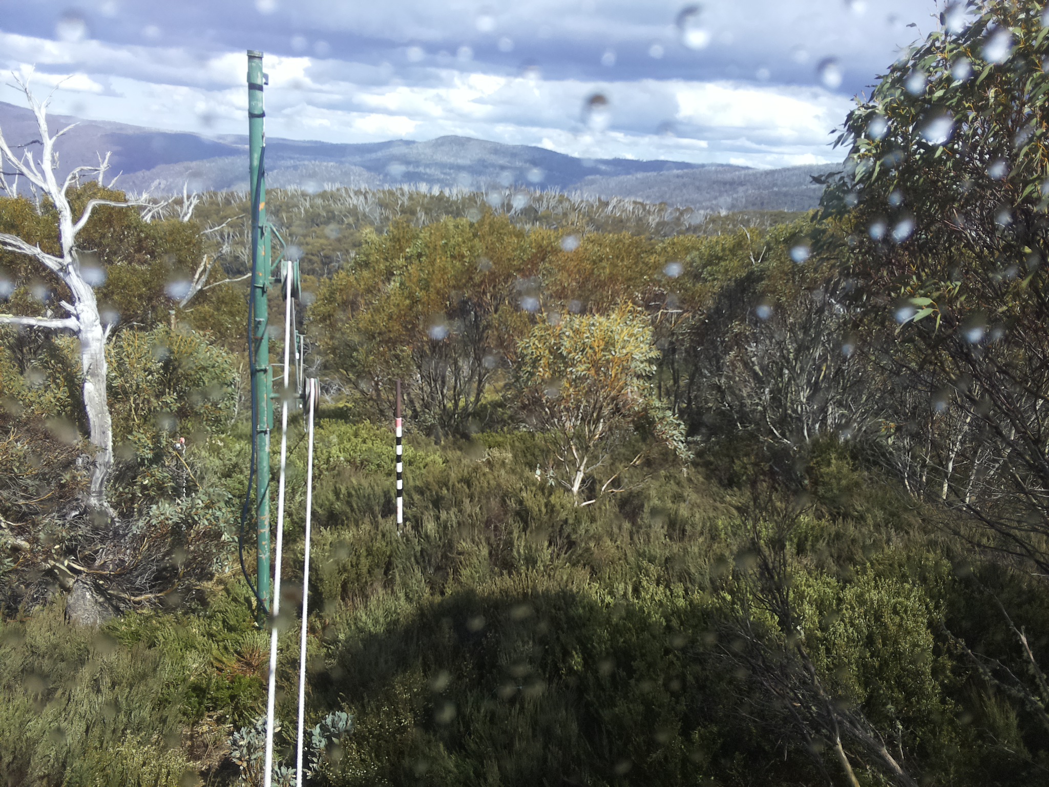 Bogong Web Cam 3:20pm Saturday 1st of November 2025