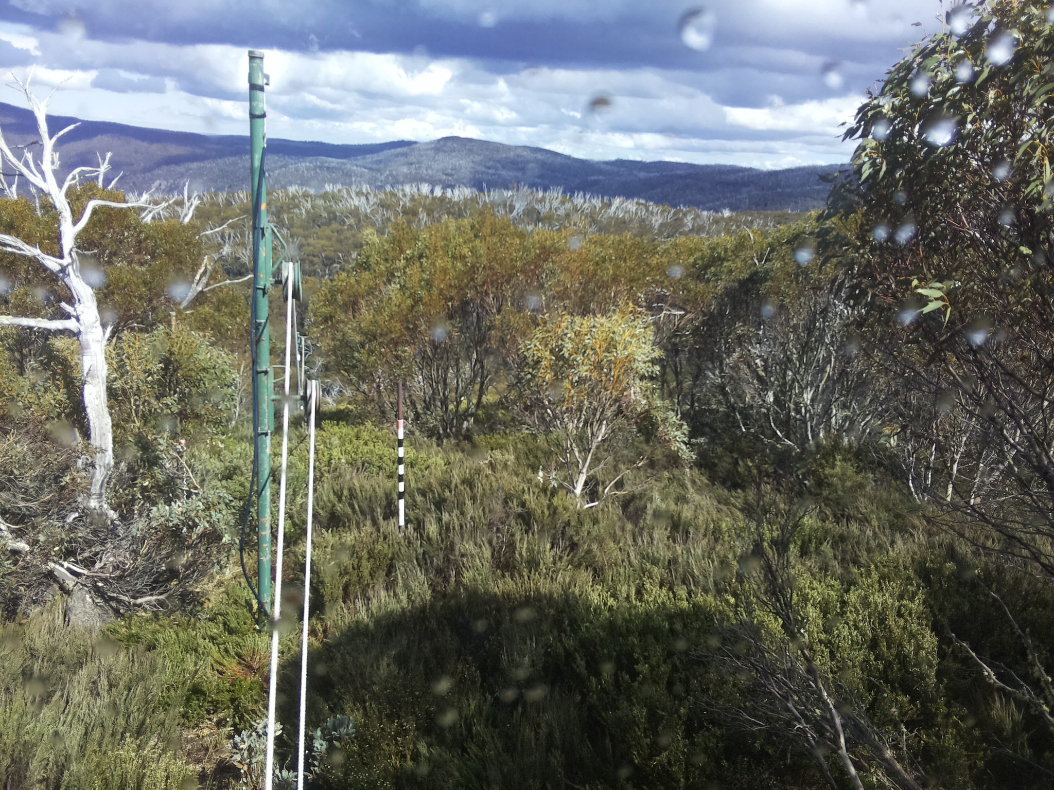 Bogong Web Cam 3:30pm Saturday 1st of November 2025
