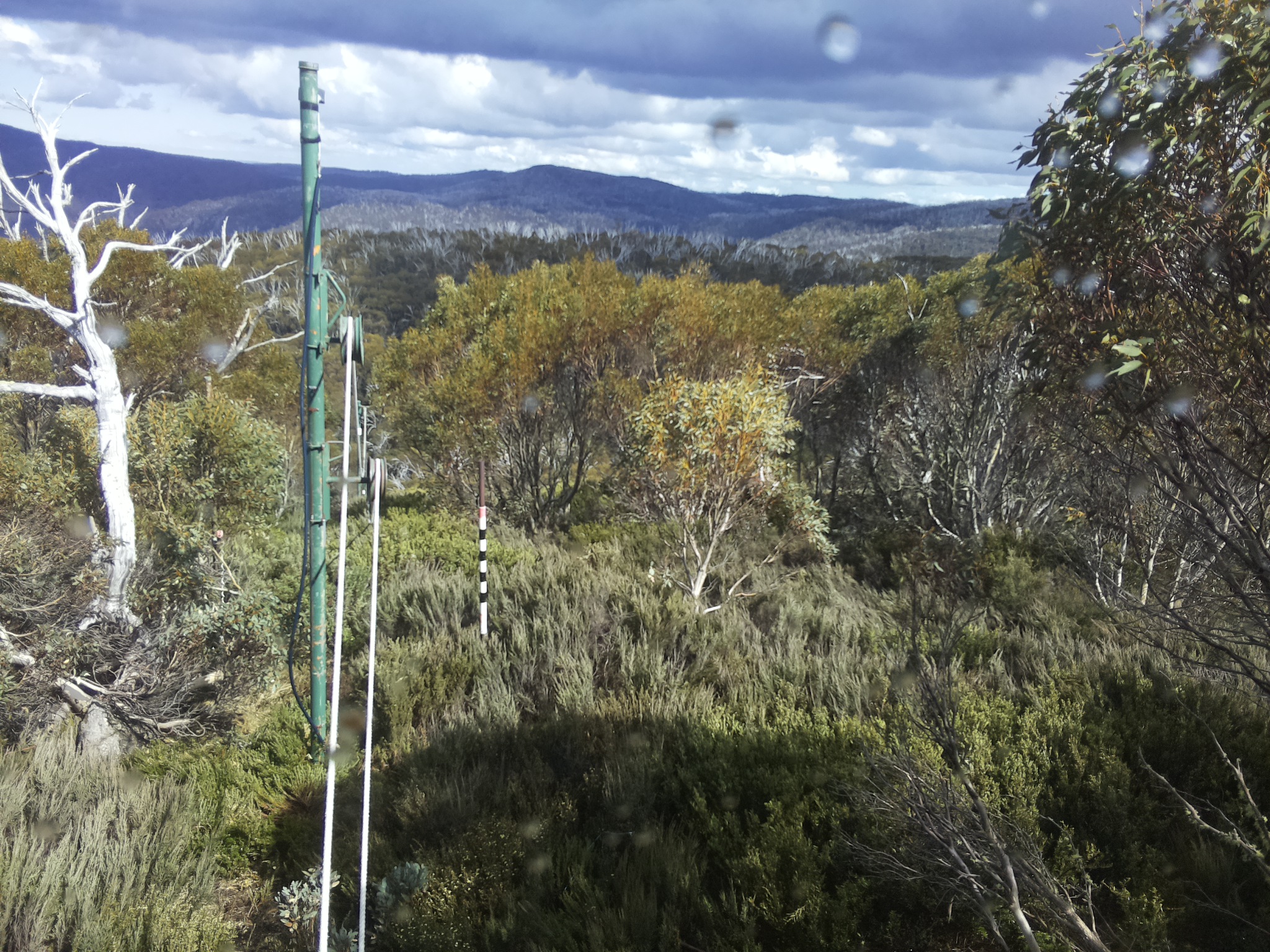 Bogong Web Cam 3:40pm Saturday 1st of November 2025