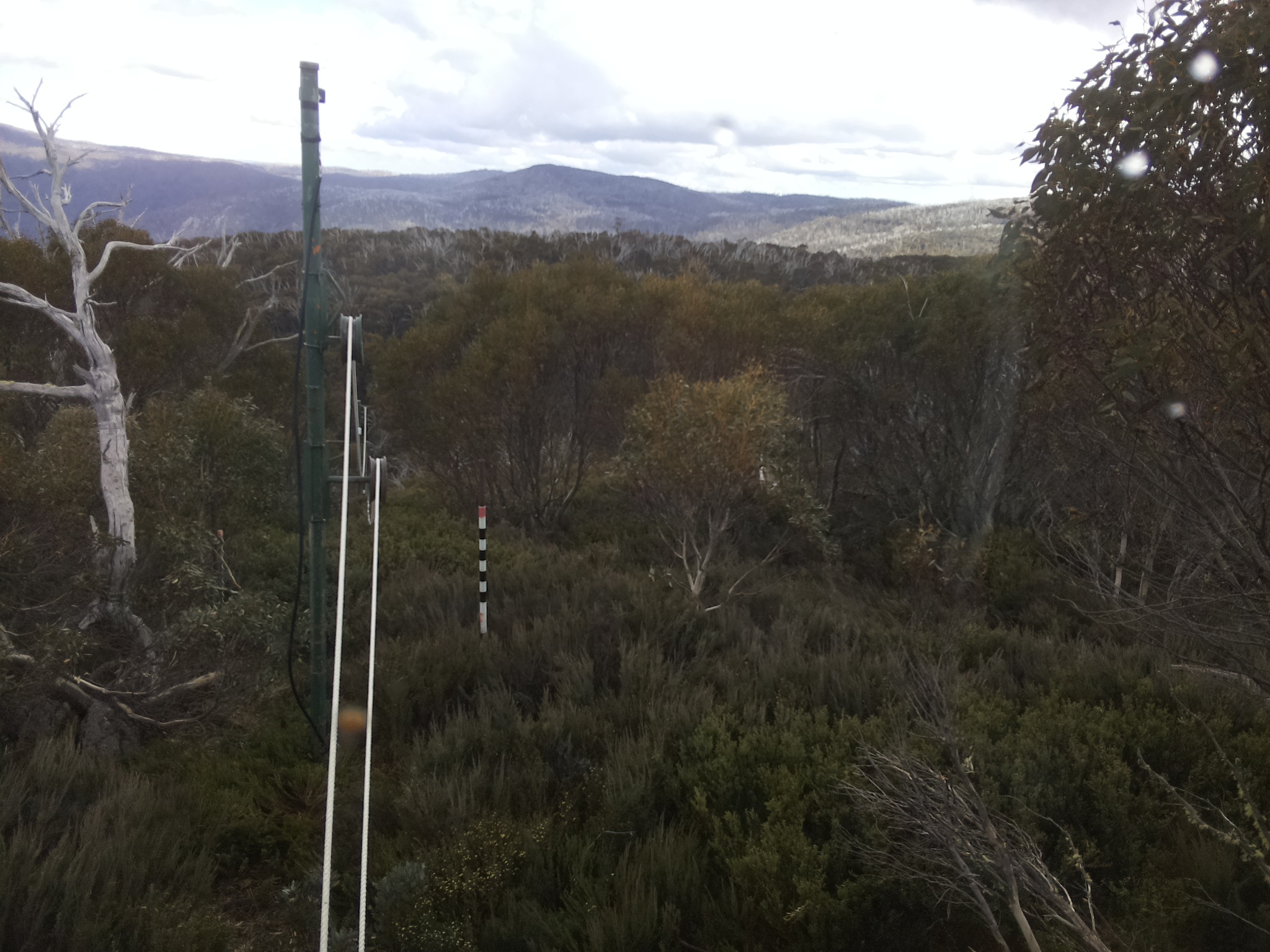 Bogong Web Cam 4:00pm Saturday 1st of November 2025