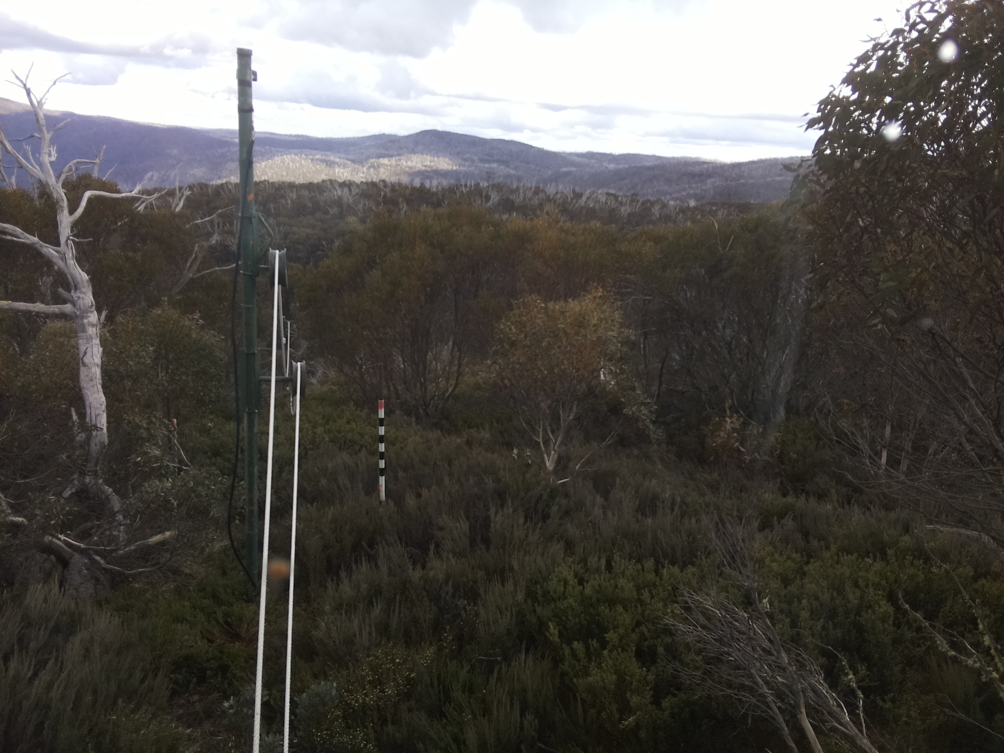 Bogong Web Cam 4:10pm Saturday 1st of November 2025