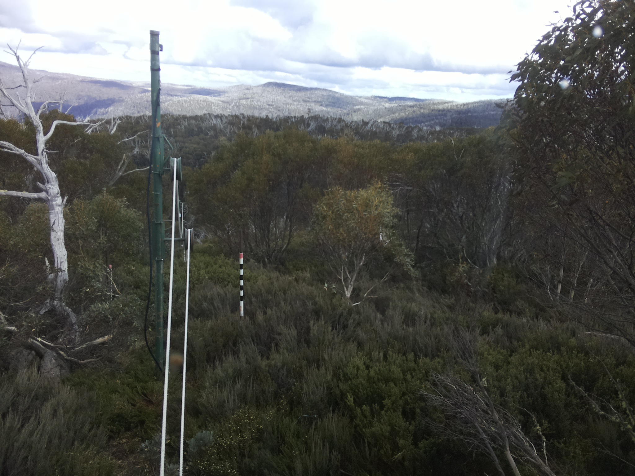 Bogong Web Cam 4:20pm Saturday 1st of November 2025