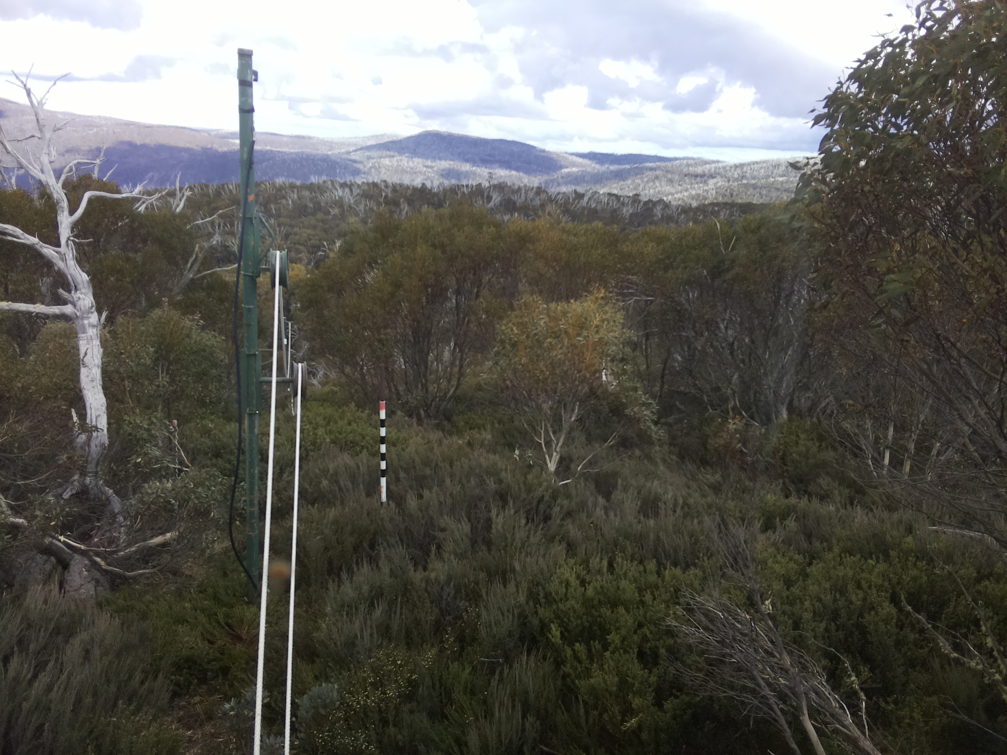 Bogong Web Cam 4:30pm Saturday 1st of November 2025