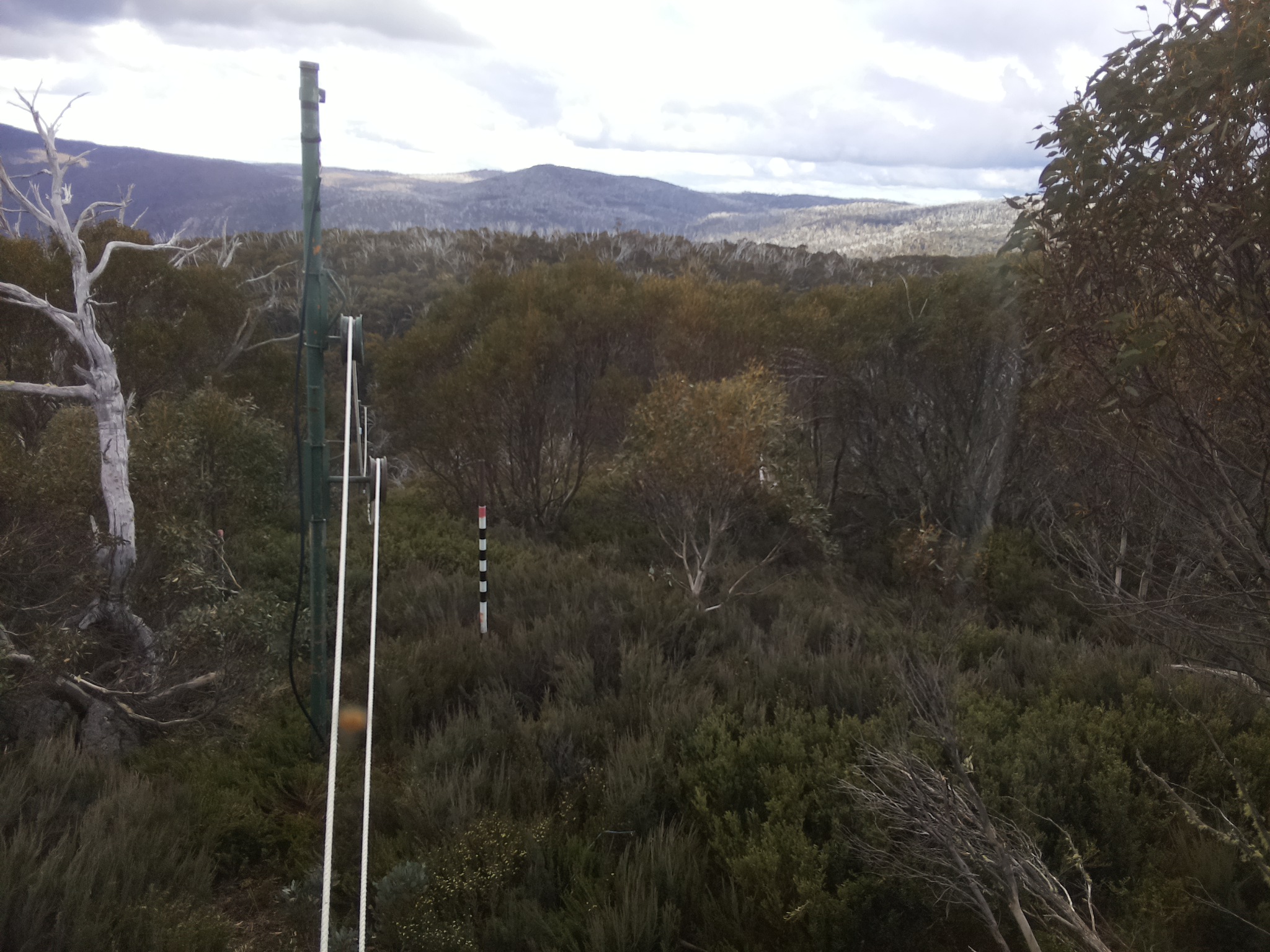Bogong Web Cam 4:40pm Saturday 1st of November 2025