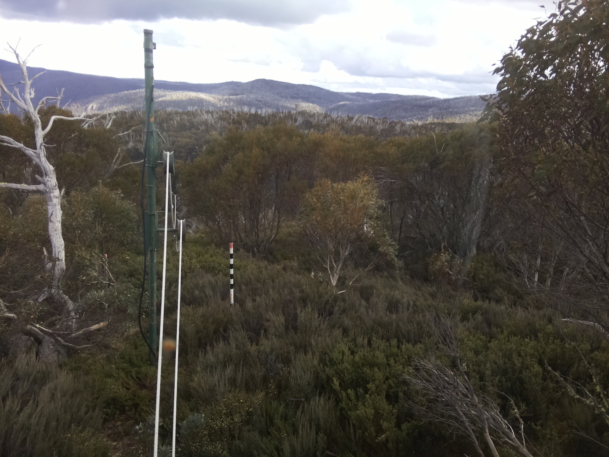 Bogong Web Cam 4:50pm Saturday 1st of November 2025
